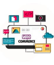 Woo-Commerce Website Development Company in Delhi, India